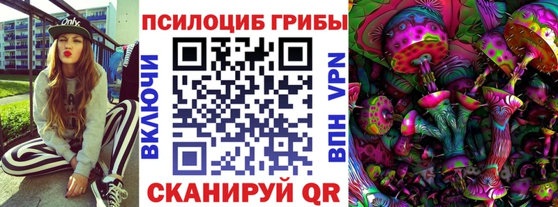 цены наркотик  Георгиевск  Псилоцибиновые грибы Magic Shrooms 